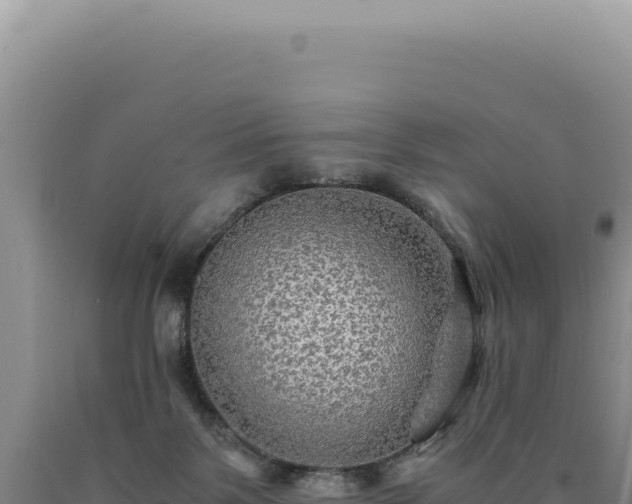 X0000090760123200707271514