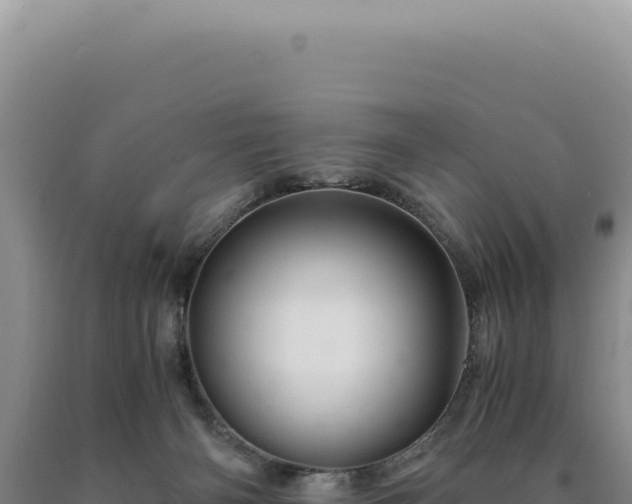 X0000090760126200707271514