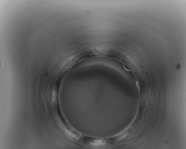 X0000090760130200707271514