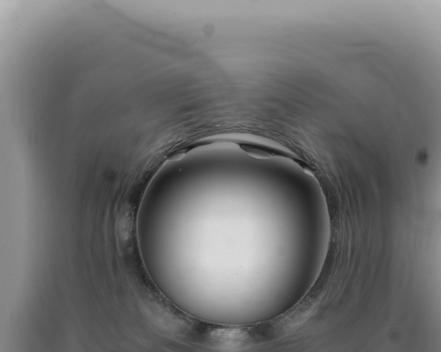 X0000090760133200707271514