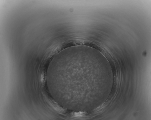 X0000090760134200707271514