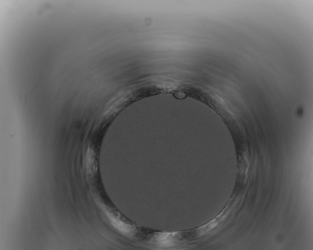 X0000090760136200707271514