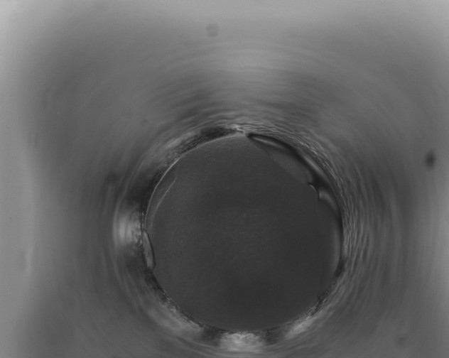 X0000090760137200707271514