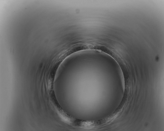 X0000090760139200707271514