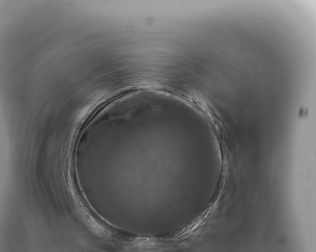 X0000090760145200707271513