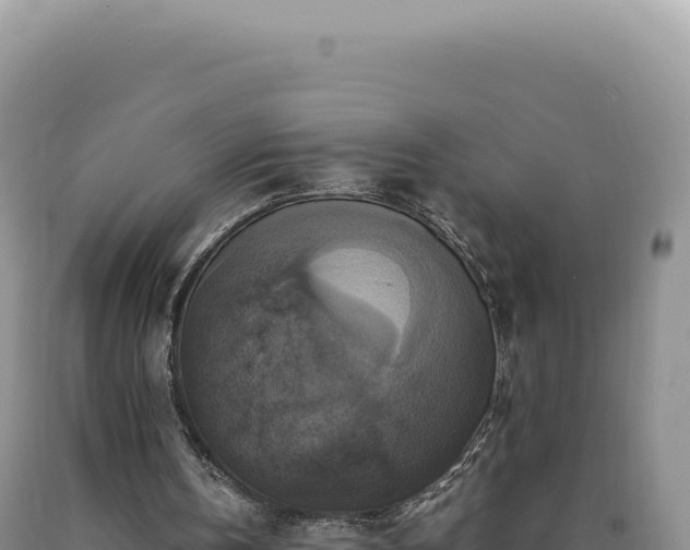 X0000090760146200707271513