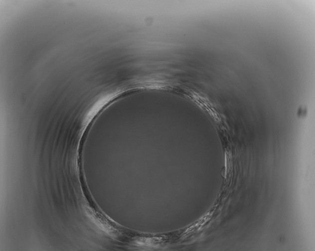 X0000090760147200707271513