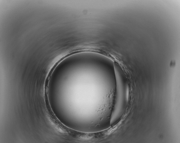 X0000090760148200707271513