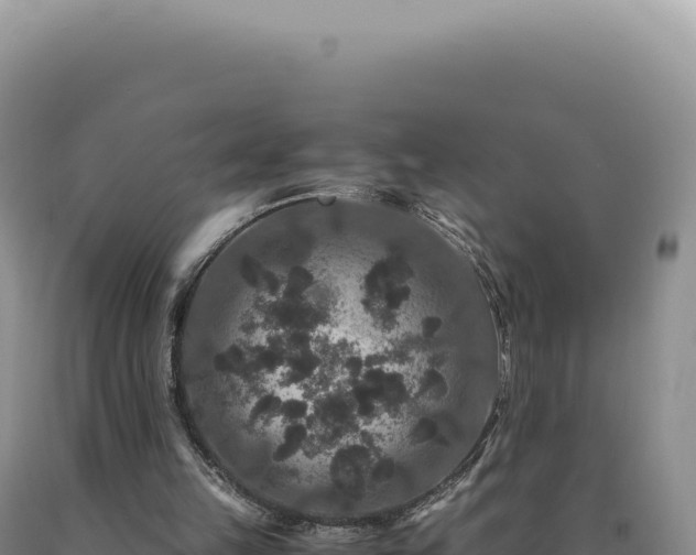 X0000090760149200707271513