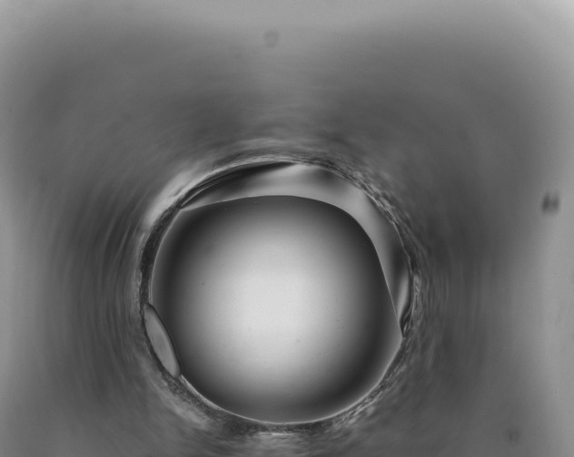 X0000090760150200707271513