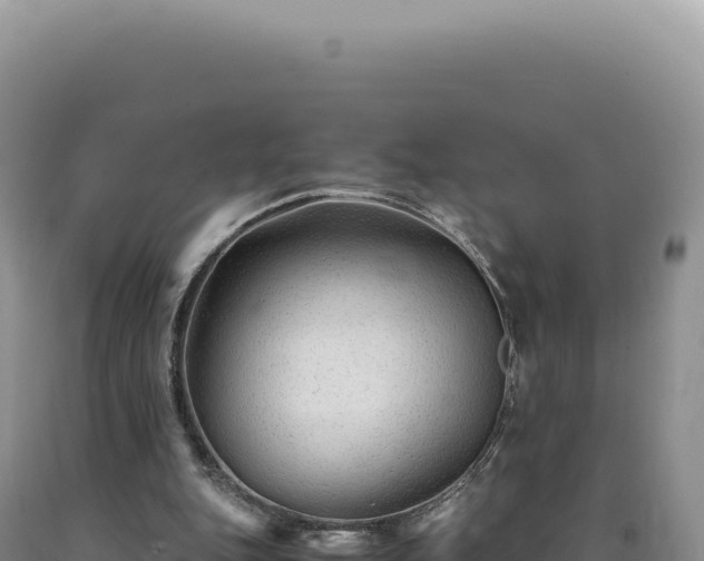 X0000090760151200707271513