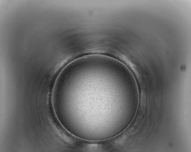 X0000090760153200707271513