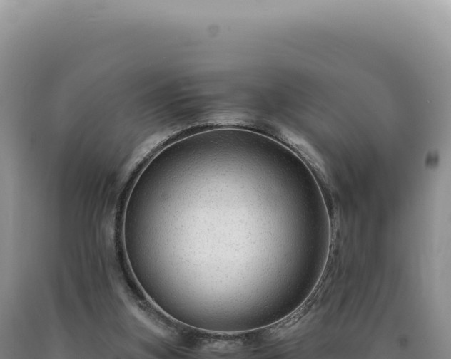 X0000090760155200707271513