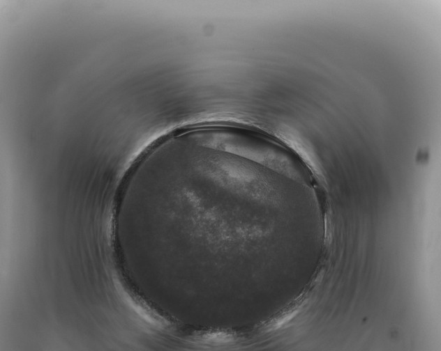 X0000090760156200707271513