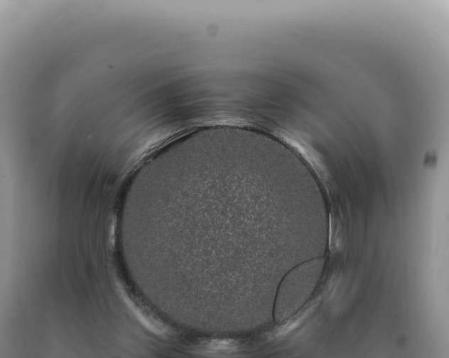 X0000090760157200707271513