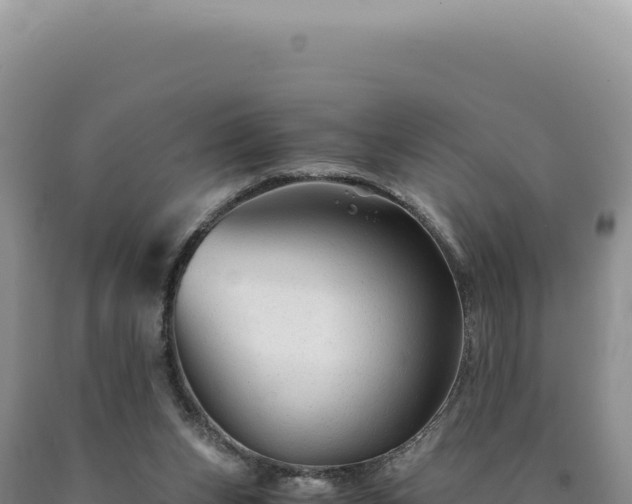 X0000090760159200707271513