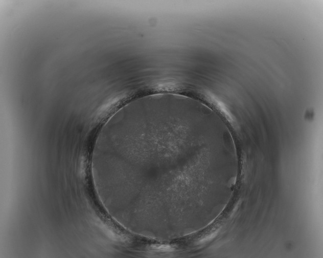 X0000090760161200707271513