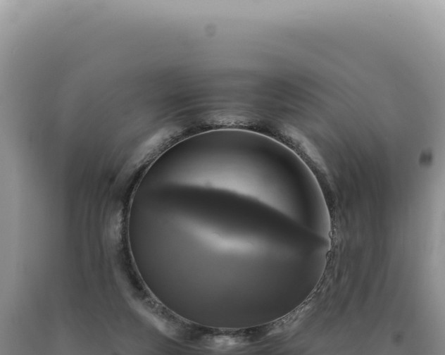 X0000090760163200707271513