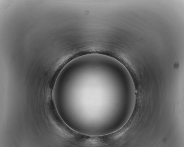 X0000090760164200707271513