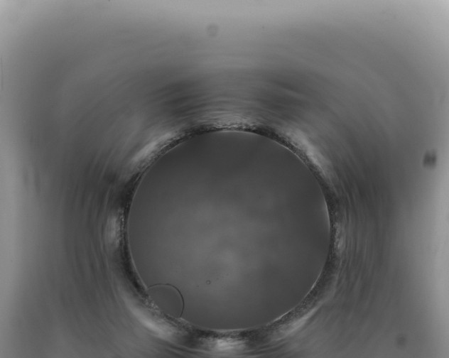 X0000090760165200707271513