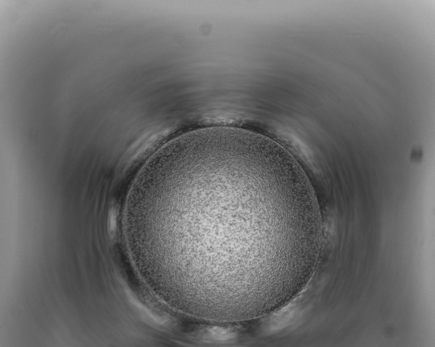 X0000090760166200707271513