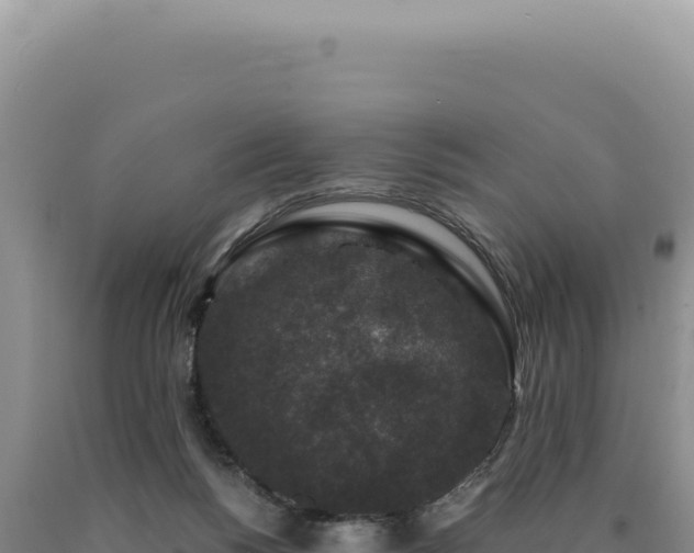 X0000090760168200707271513