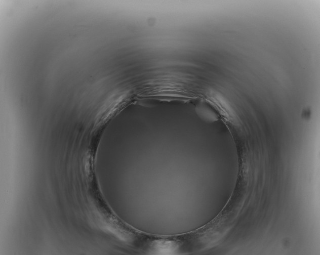 X0000090760169200707271513