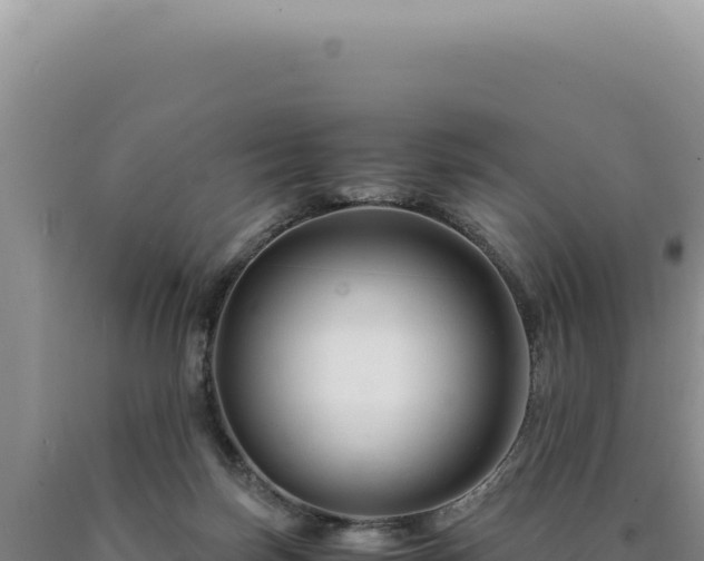 X0000090760171200707271513