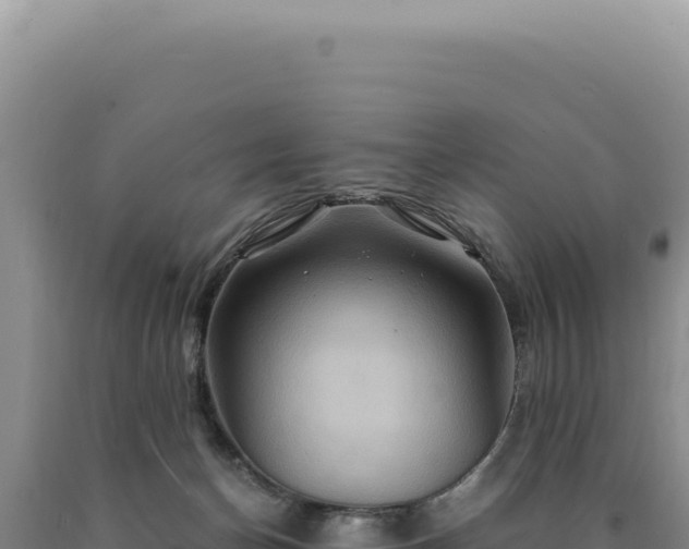 X0000090760174200707271513