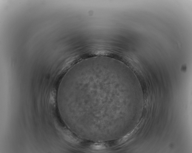 X0000090760175200707271513