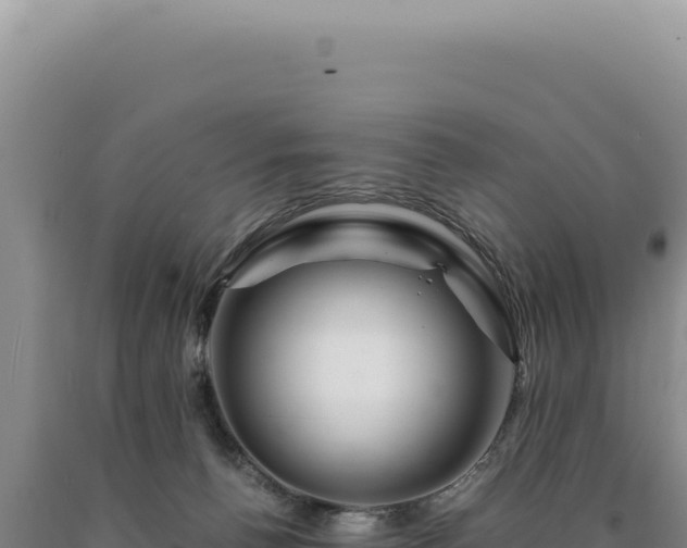 X0000090760176200707271513