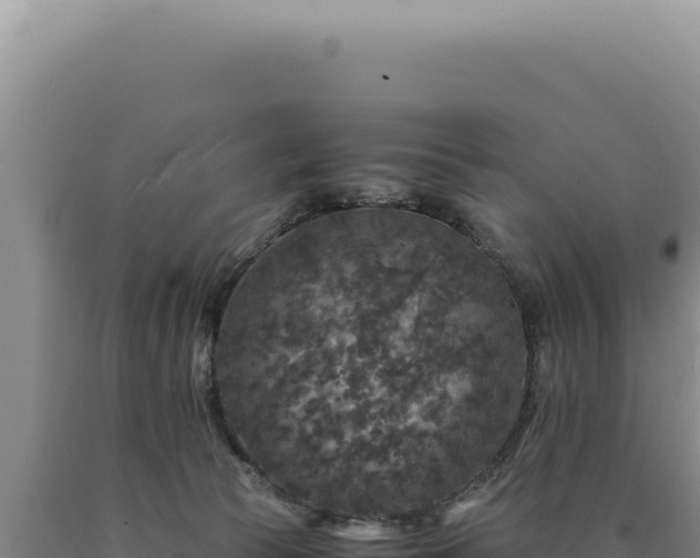 X0000090760177200707271513