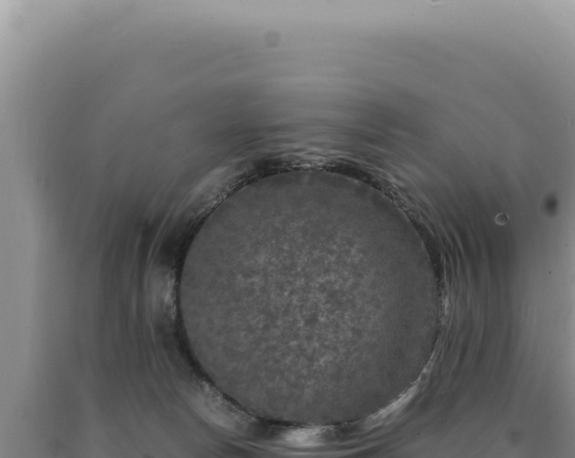 X0000090760178200707271513