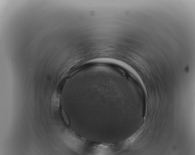 X0000090760180200707271514