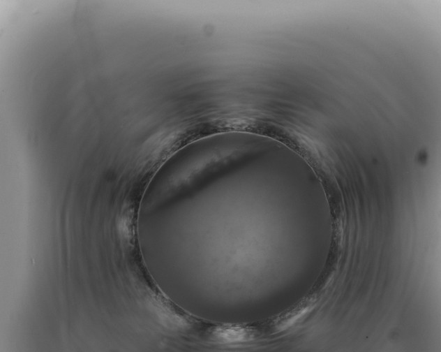 X0000090760181200707271514