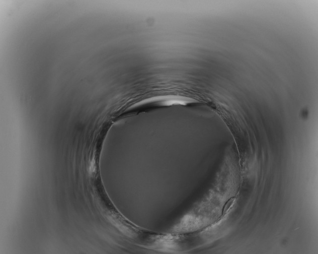 X0000090760182200707271514