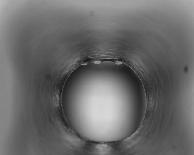 X0000090760183200707271514