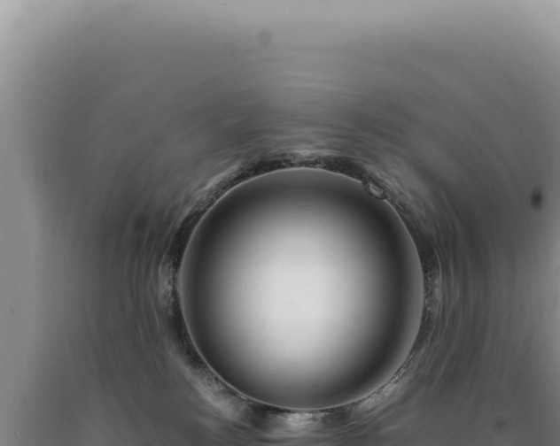 X0000090760184200707271514