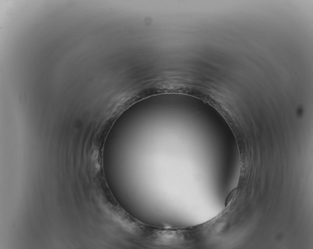 X0000090760187200707271514