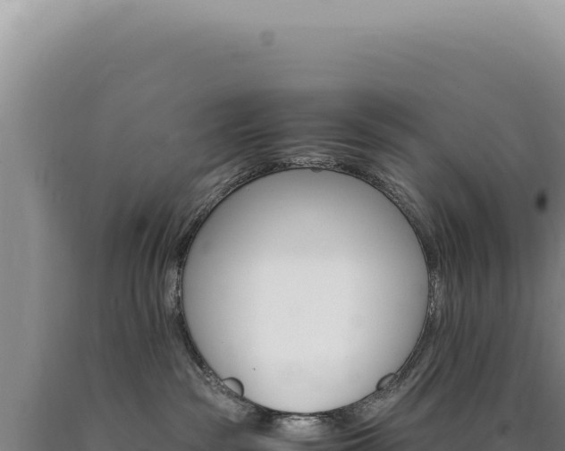 X0000090760189200707271514