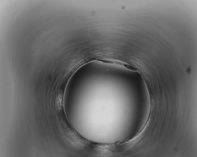 X0000090760190200707271514