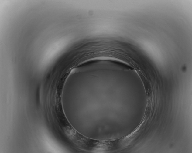 X0000090760191200707271514