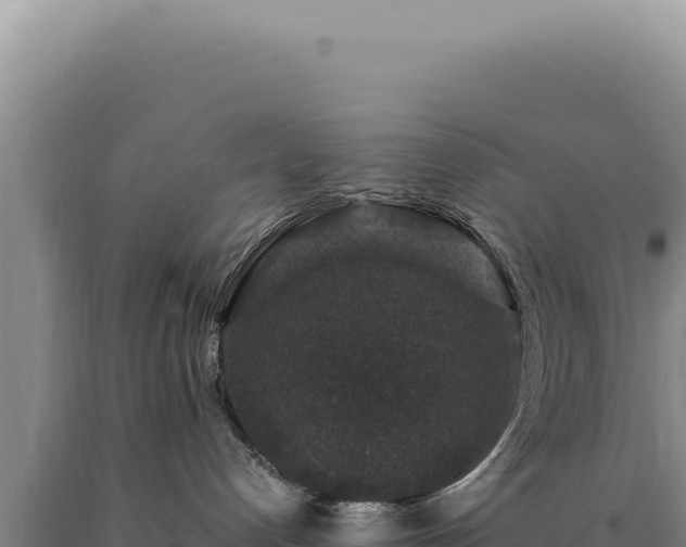 X0000090760192200707271514