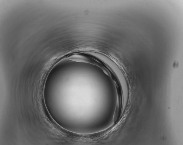 X0000090760193200707271513