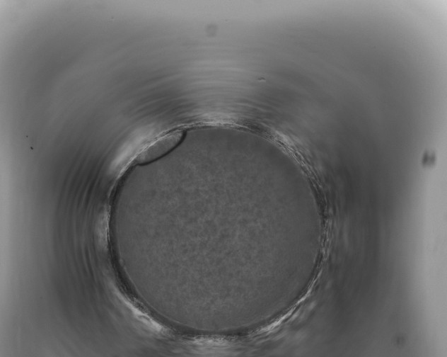 X0000090760194200707271513