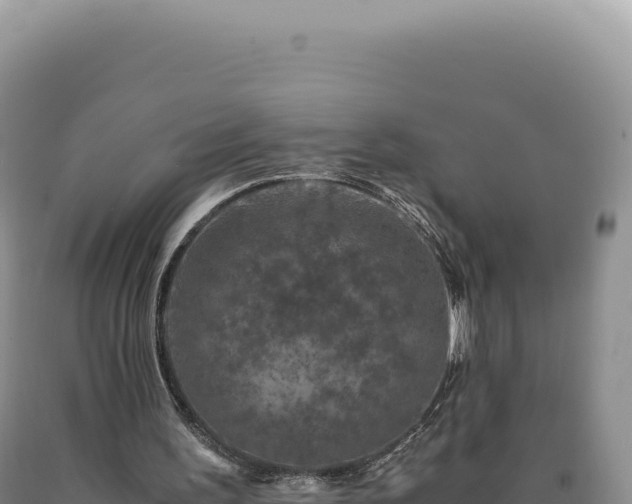 X0000090760195200707271513