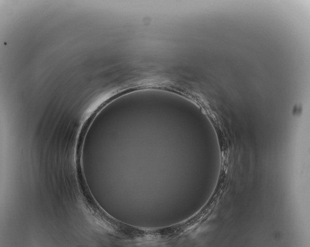 X0000090760196200707271513