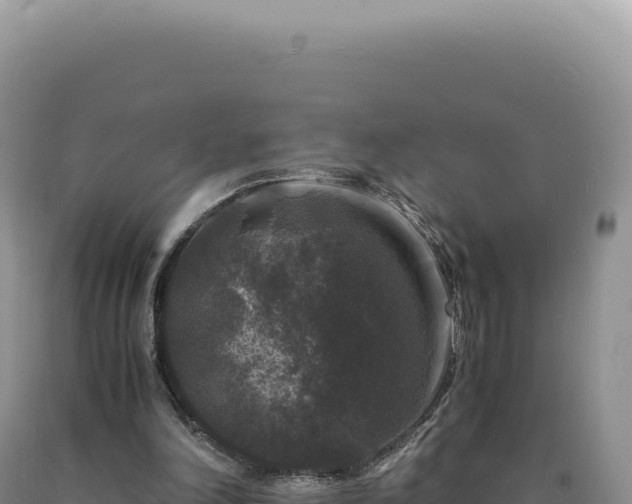 X0000090760198200707271513