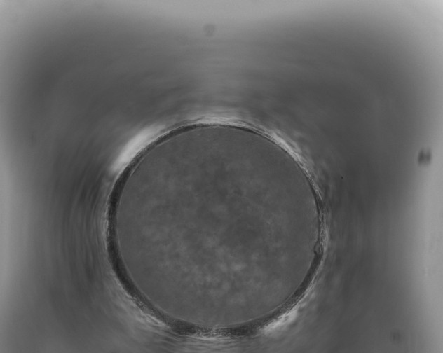 X0000090760199200707271513