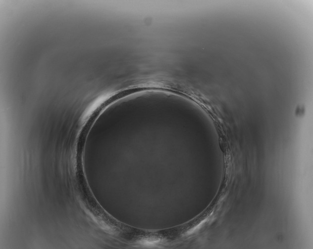 X0000090760200200707271513